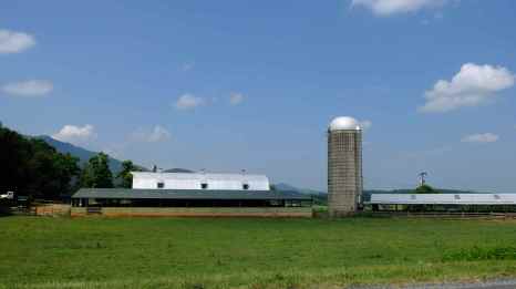 farm and barn