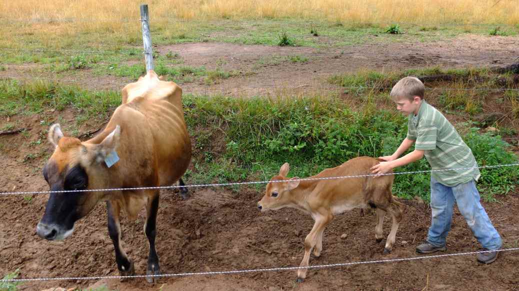 "café au lait" ne veut pas marché