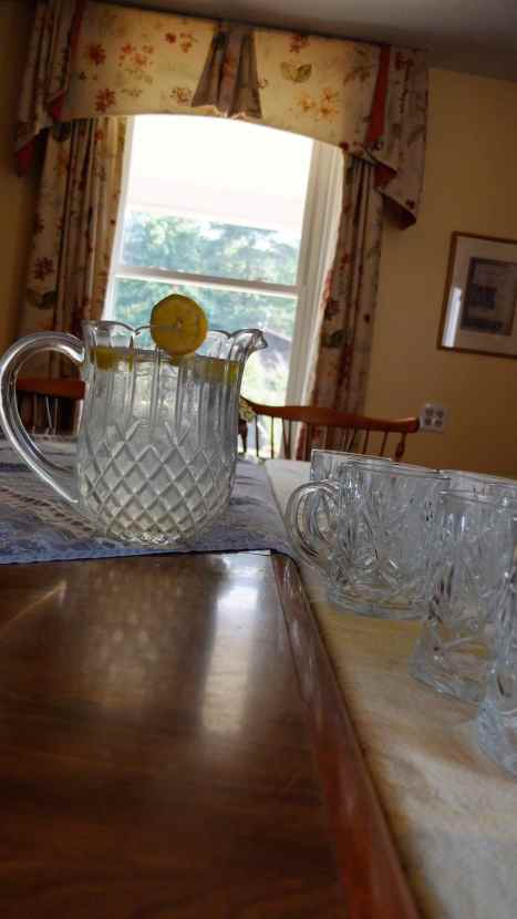 limonade pour cours de nutrition