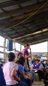 témoignage d'internship